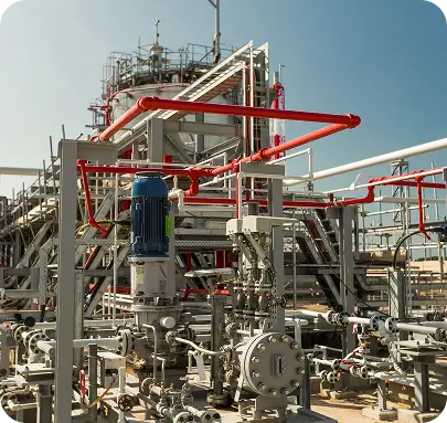 Tubula&ccedil;&otilde;es